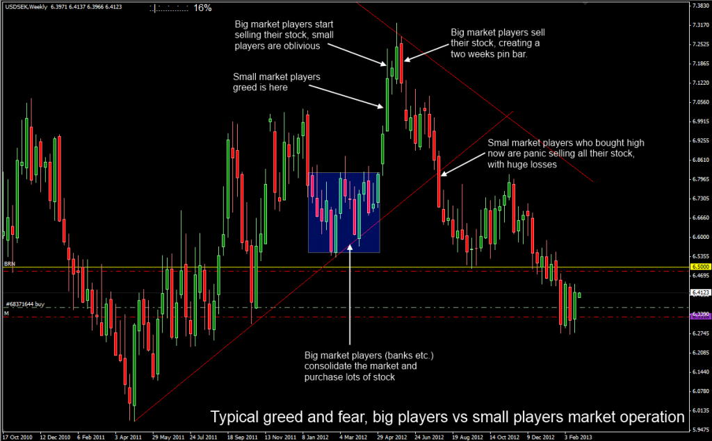 Greed and fear cycle